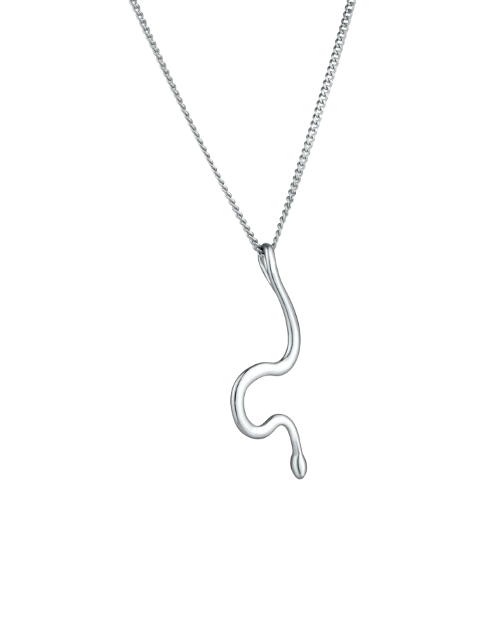 Ogrlica Vireya Silver