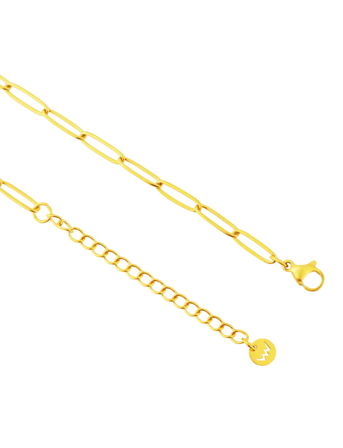 Ogrlica Isel Gold