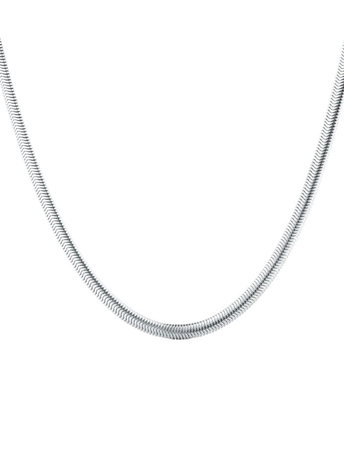 Ogrlica Evoa Silver