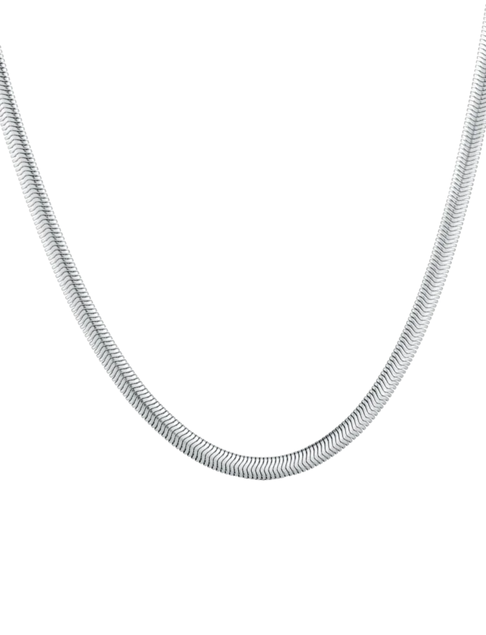 Ogrlica Evoa Silver