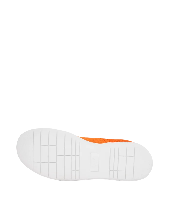 Seraphyn Nectarine - 40