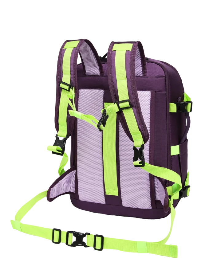 Treviq Purple