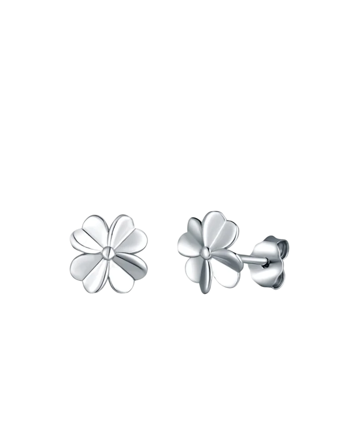 Uhani Amuse Silver