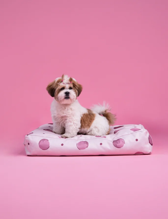 Buddys Dotty Beige