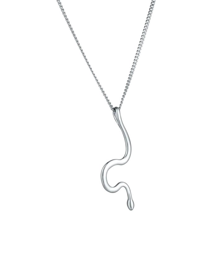 Ogrlica Vireya Silver