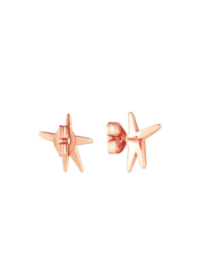 Uhani Nyxa Rose Gold