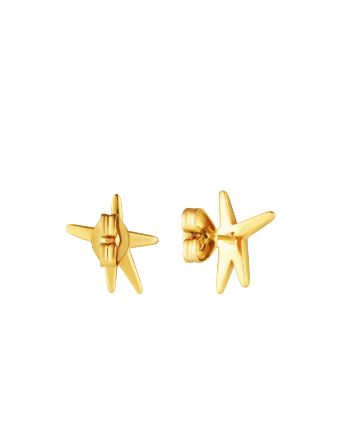 Uhani Nyxa Gold