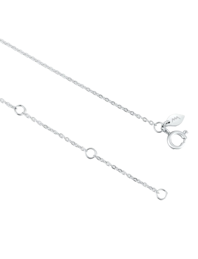 Ogrlica Virela Silver