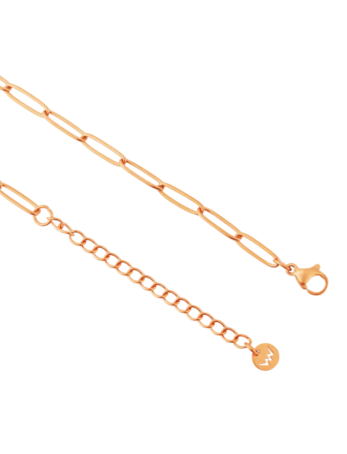 Ogrlica Isel Rose Gold