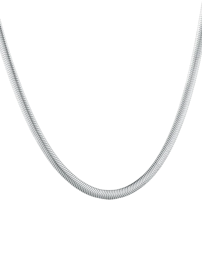 Ogrlica Evoa Silver