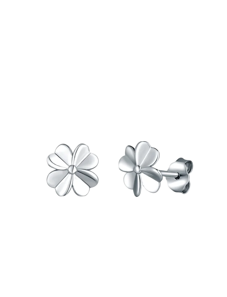 Uhani Amuse Silver