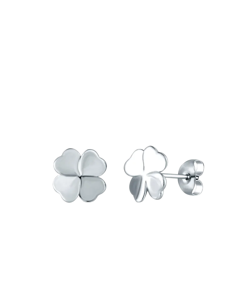 Uhani Fouria Silver