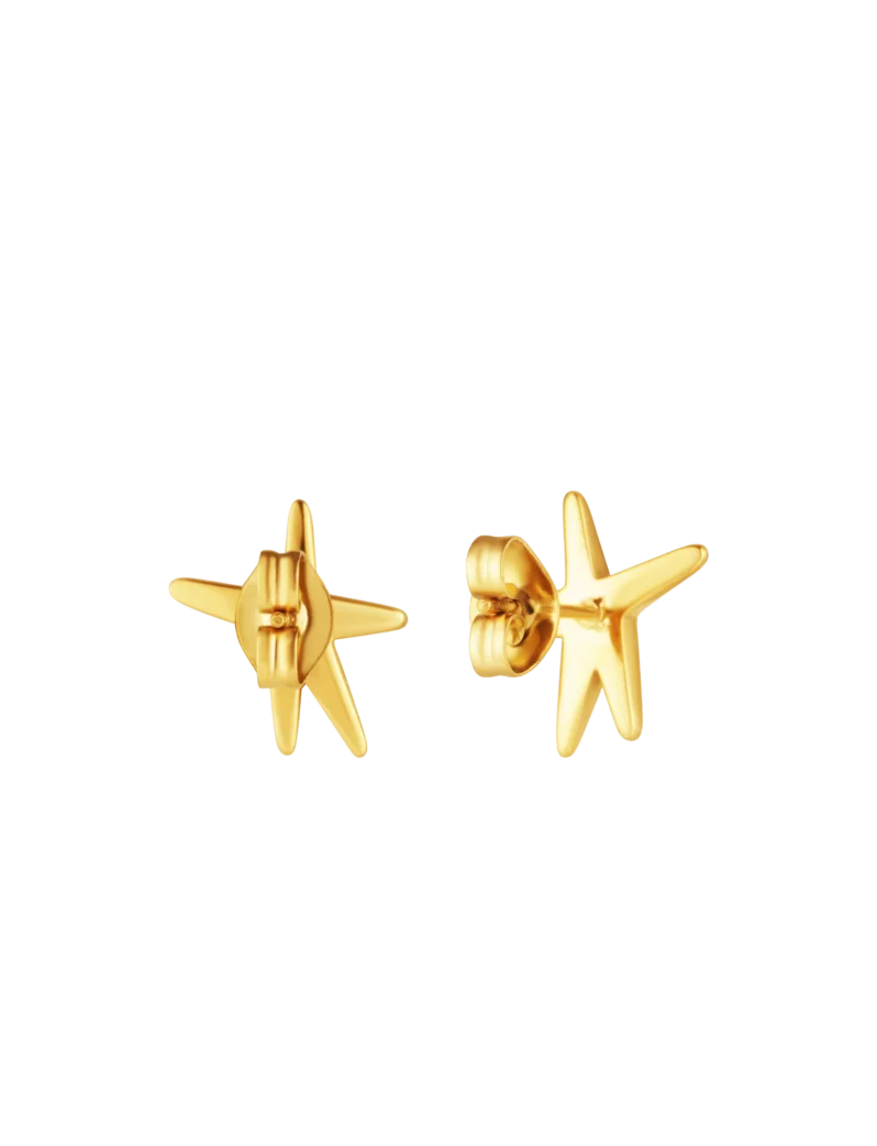 Uhani Nyxa Gold