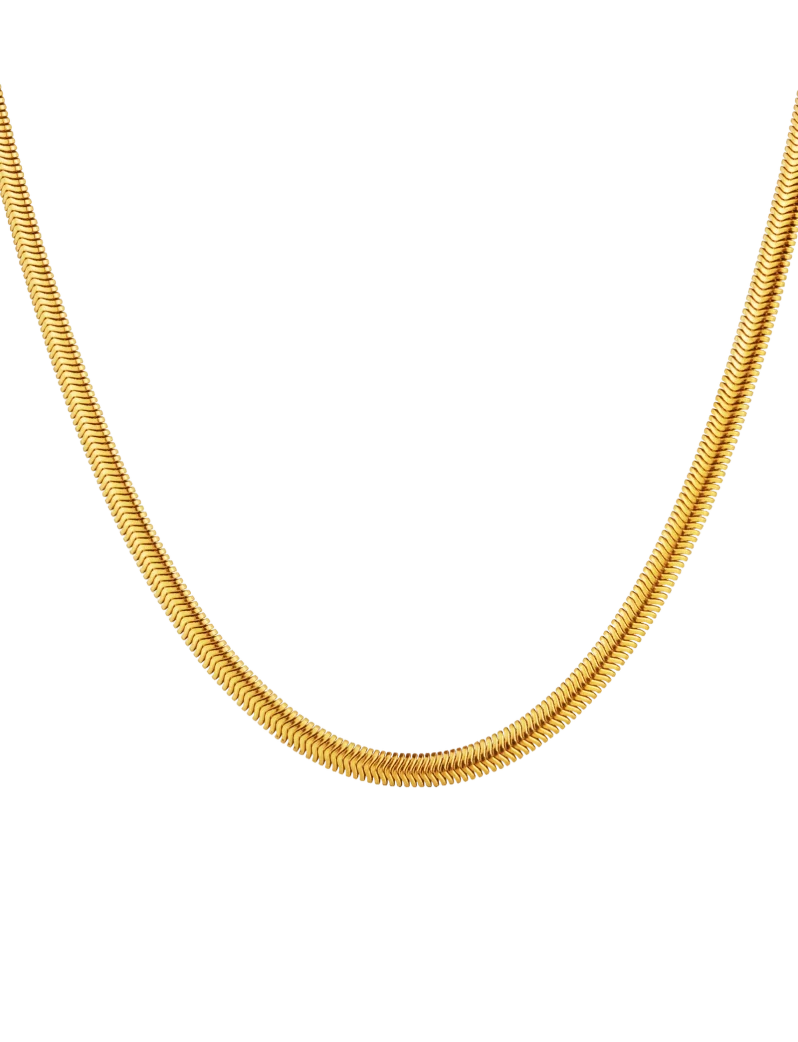Ogrlica Evoa Gold