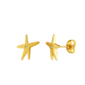 Uhani Nyxa Gold